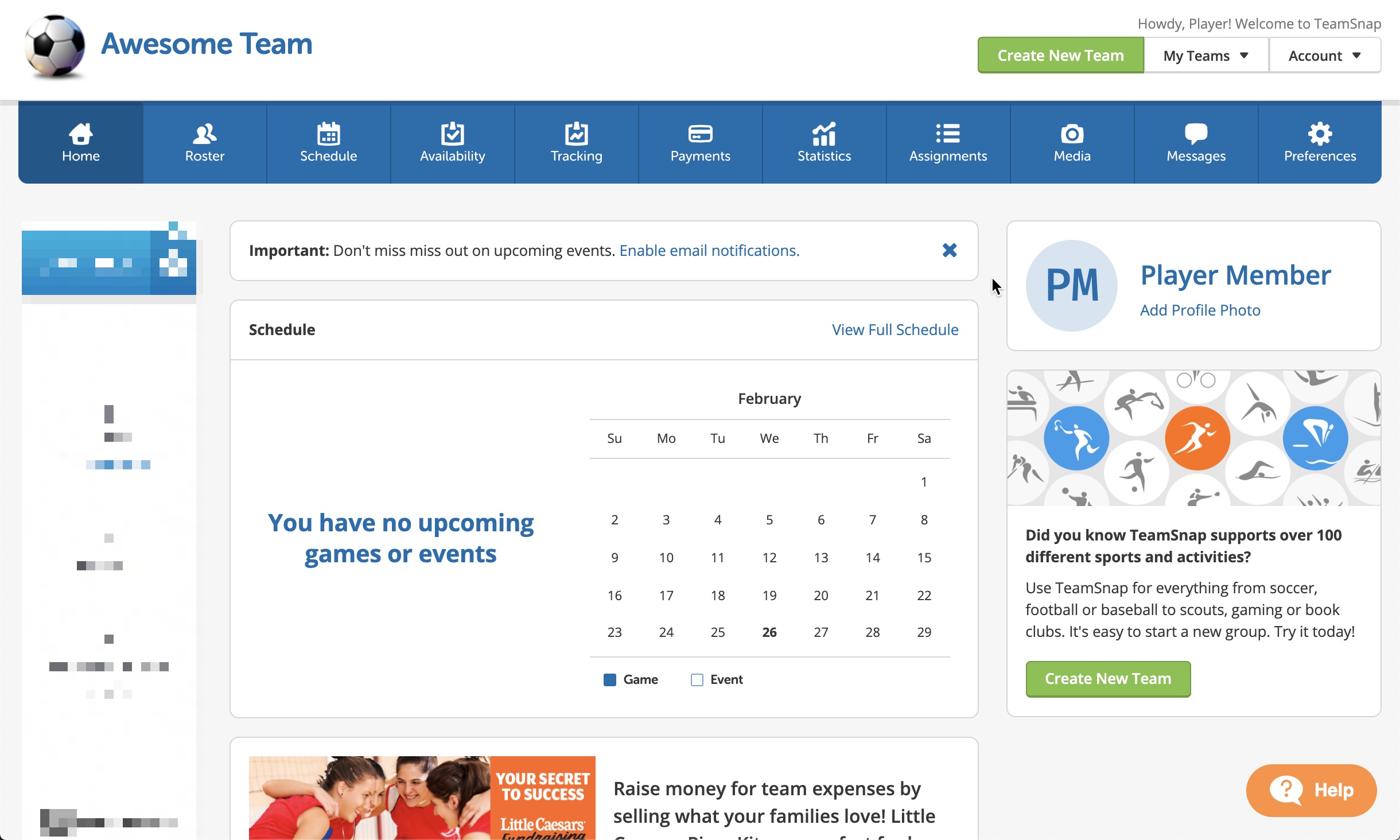 TeamSnap interface and dashboard