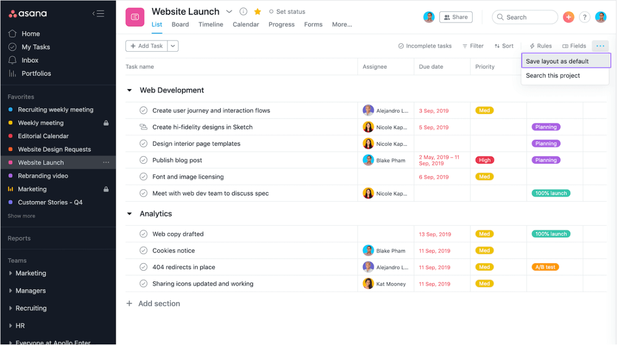 Asana project workflow software
