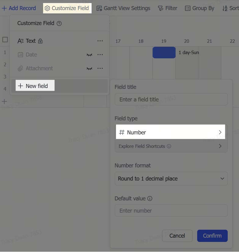 Use number fields in Base