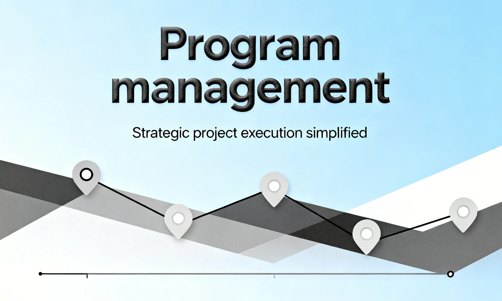 program management