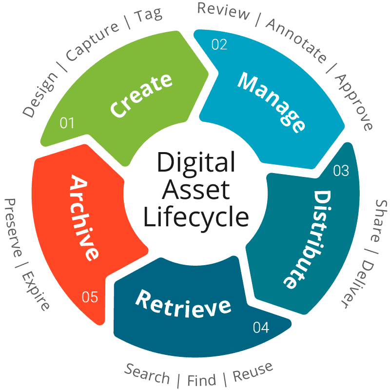 Digital asset lifecycle