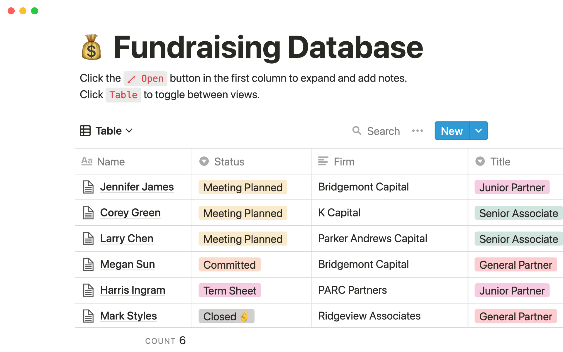 Fundraising Database by Notion