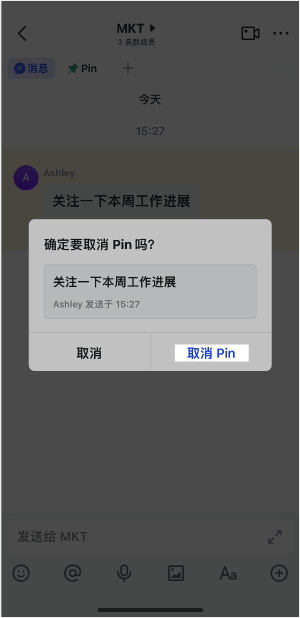 使用 Pin 功能