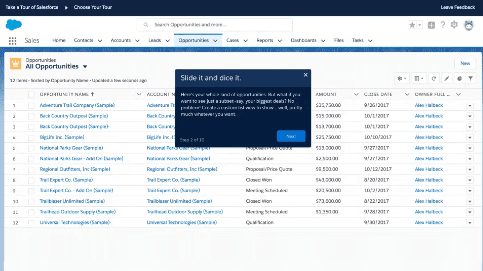 Salesforce interface with the opportunities tab open, showing key details of accounts