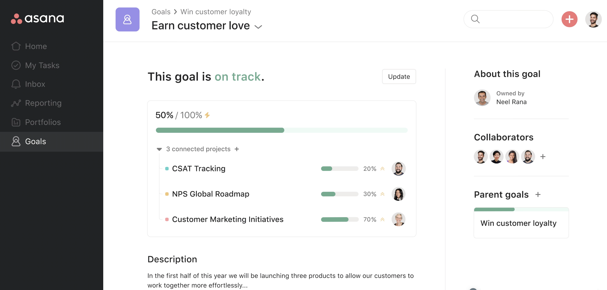 Asana task management platform