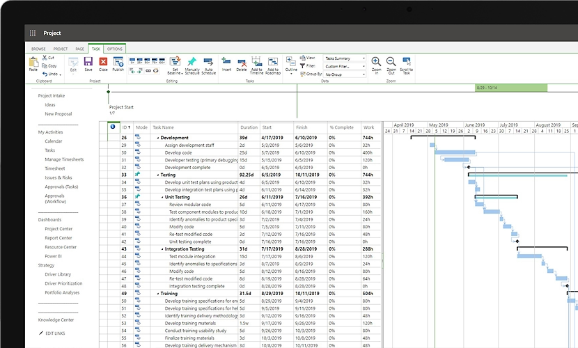 Microsoft Project waterfall chart