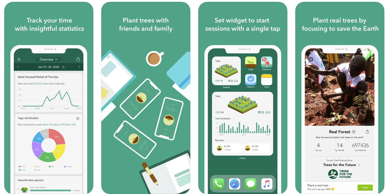 Interface of Forest