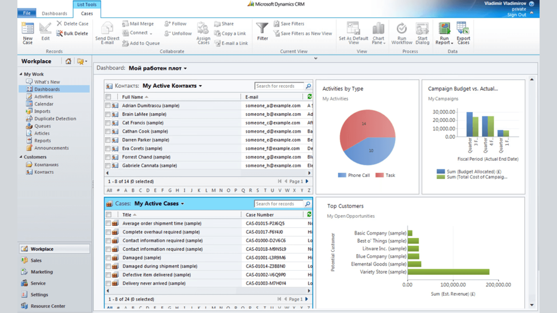 Interface of Microsoft Dynamics CRM