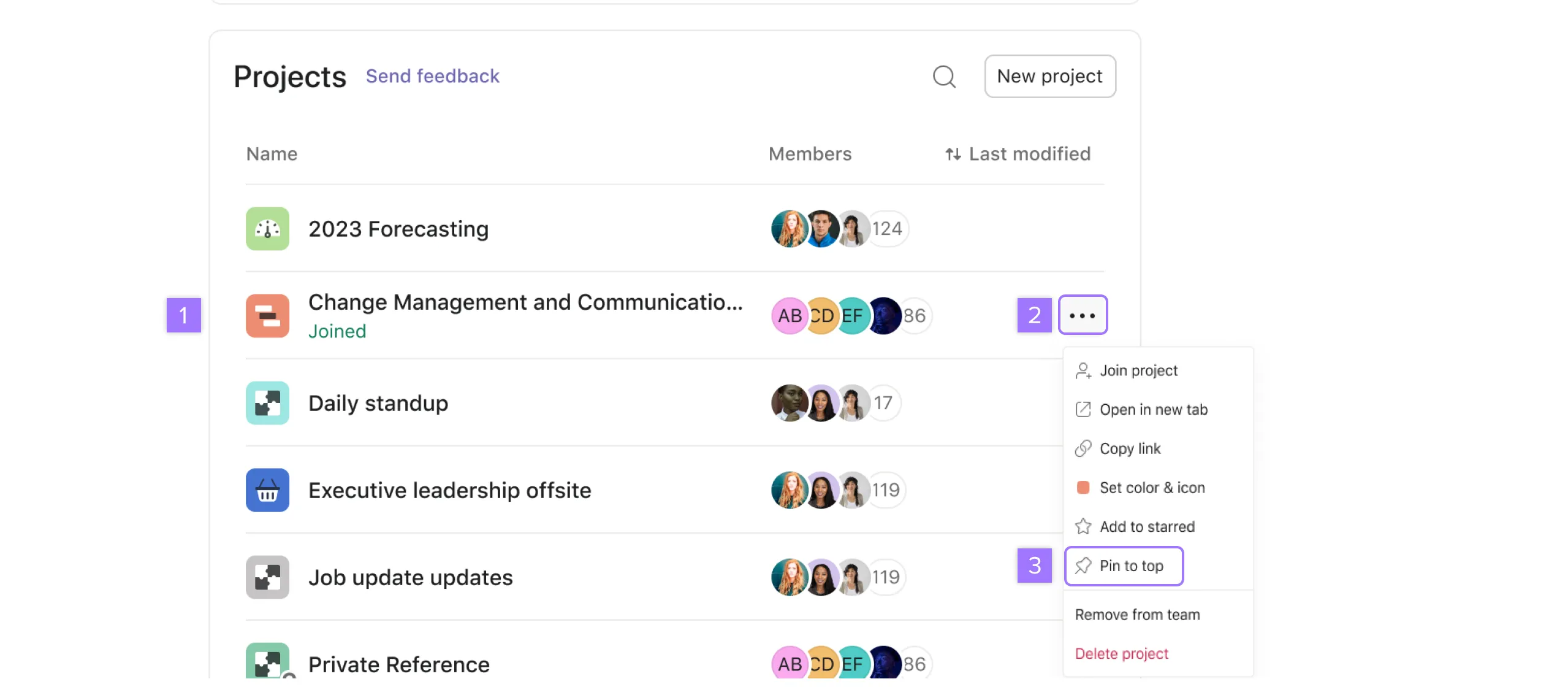 Asana project execution interface
