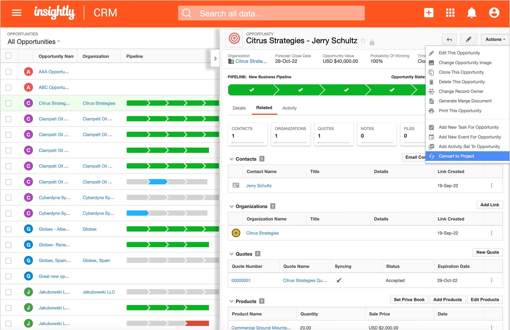 Insightly: CRM with light project tracking for services
