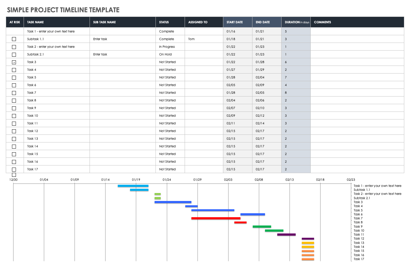 Track the project milestones using the template