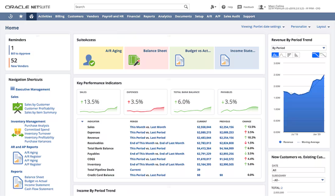 NetSuite business ERP