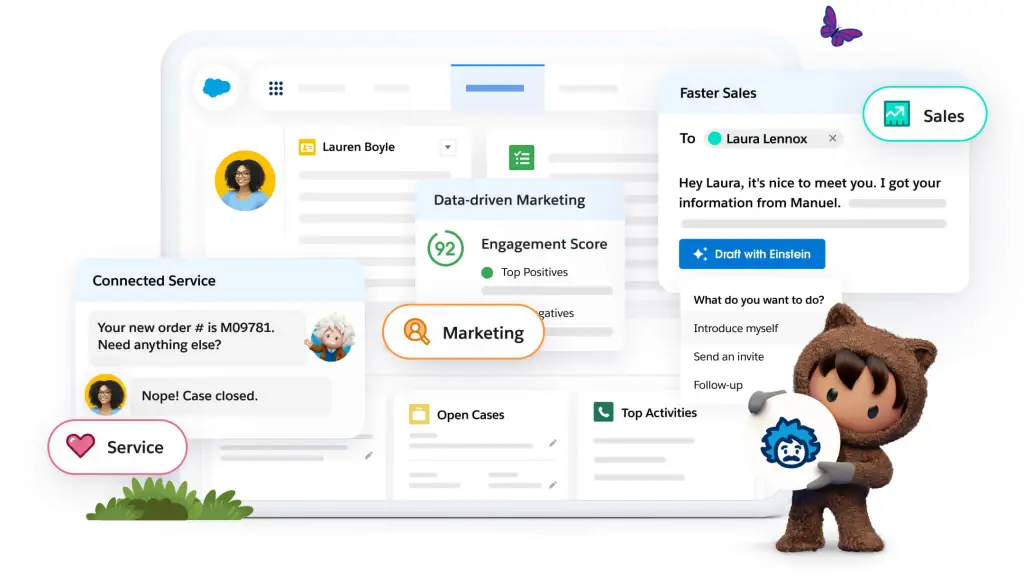 Salesforce: Enterprise CRM leader