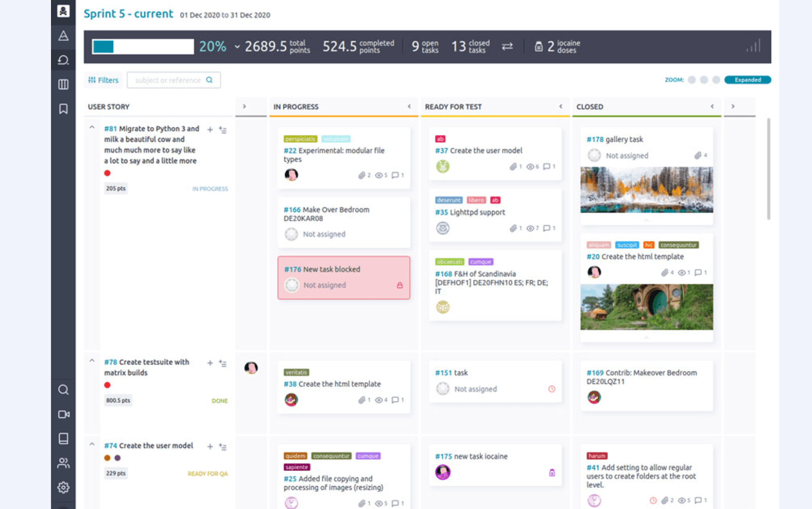 project management in Taiga
