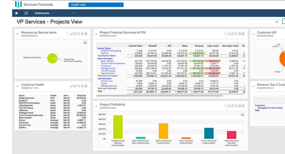 Professional accounting software platform