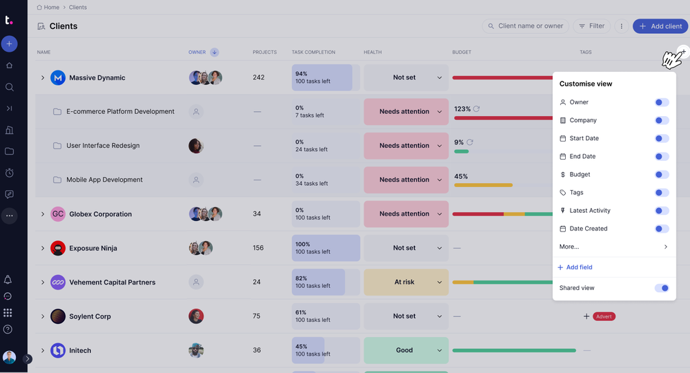 Teamwork: Client-focused team project management