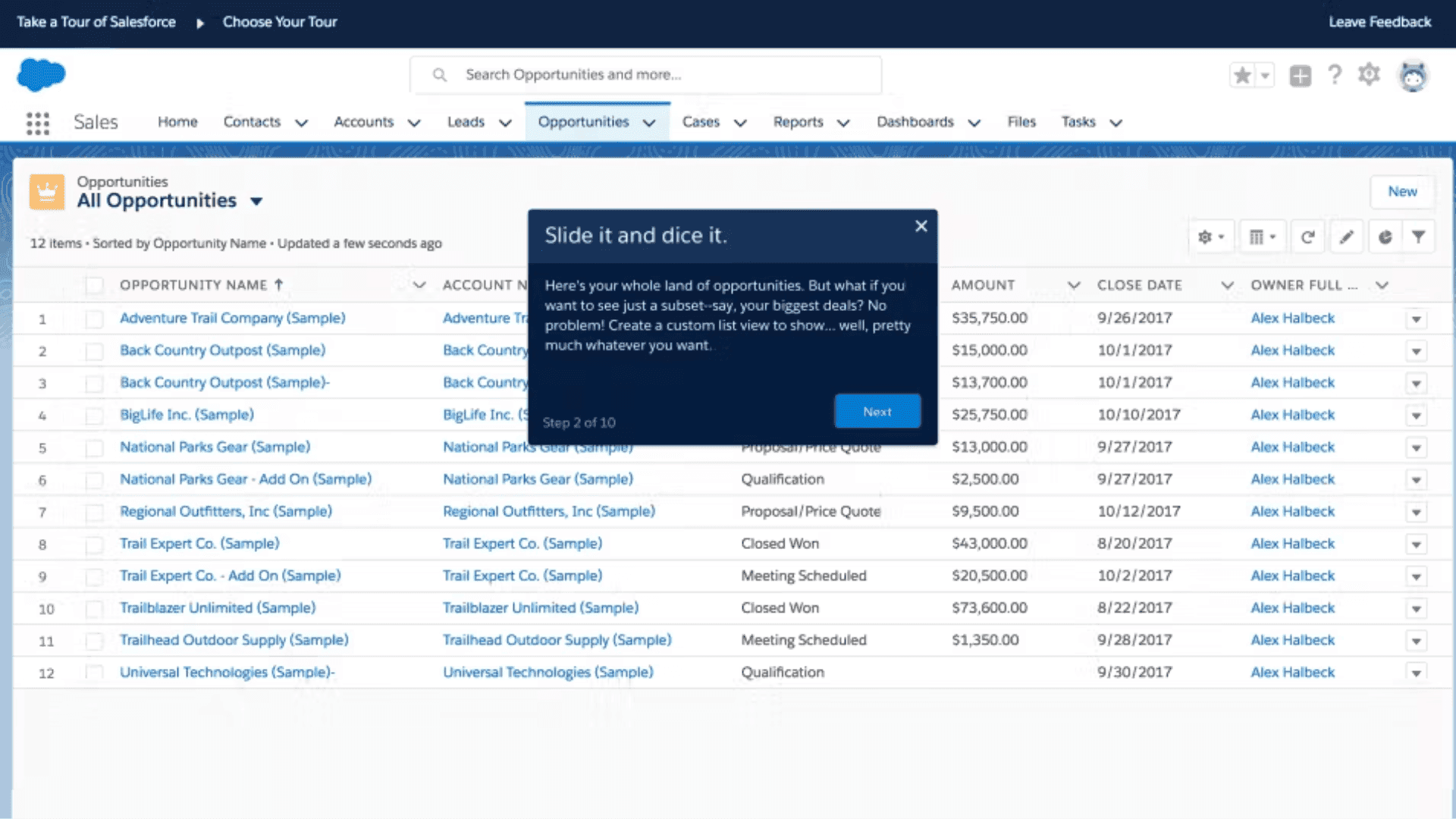 Salesforce interface with the opportunities tab open, showing key details of accounts
