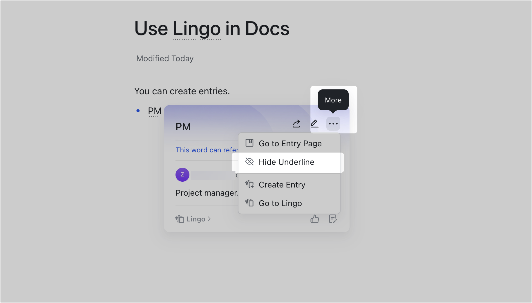 Use Lingo in Docs
