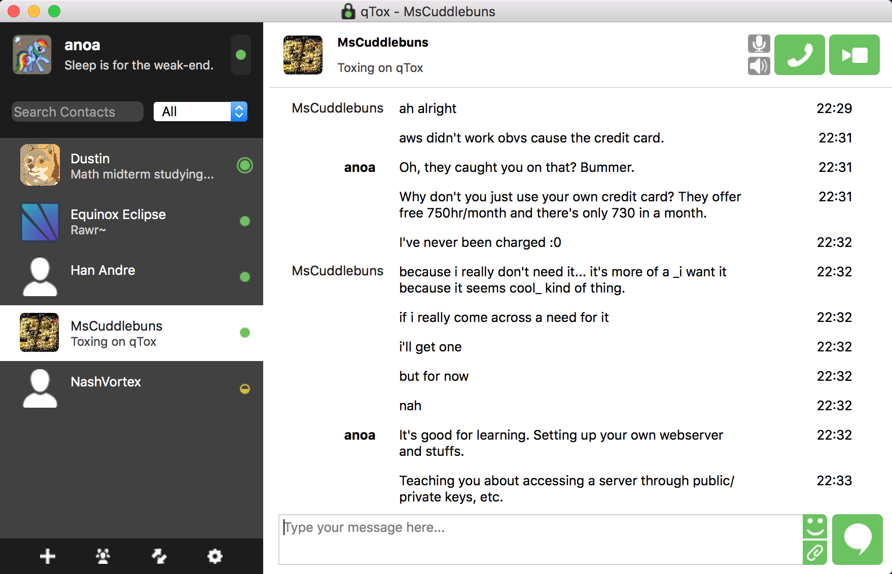 Tox video call interface showing encrypted peer-to-peer connection