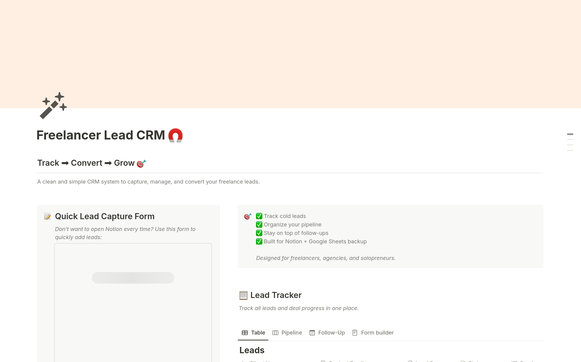 Freelancer Lead CRM by Notion