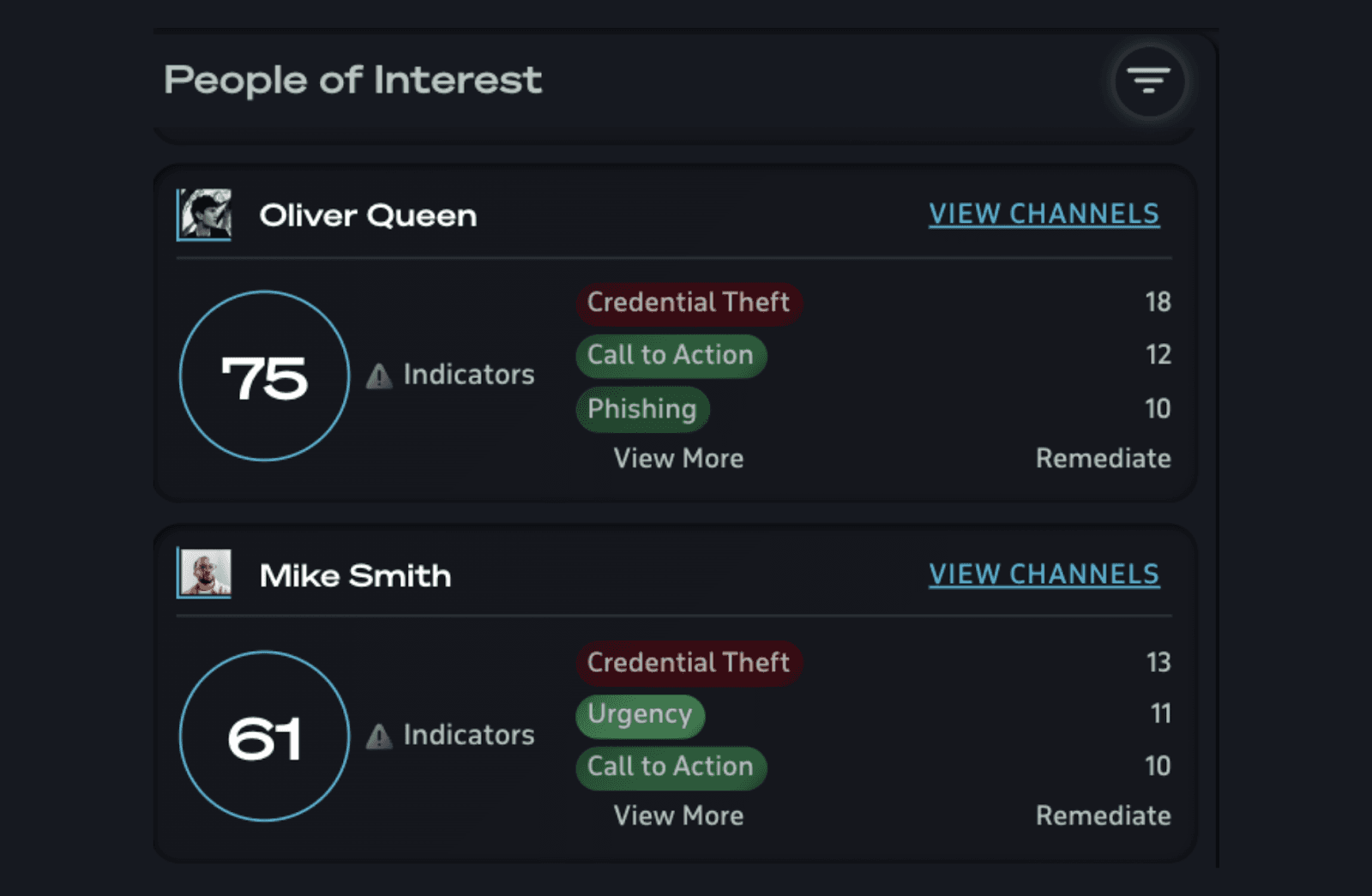 Interface of Safeguard Cyber