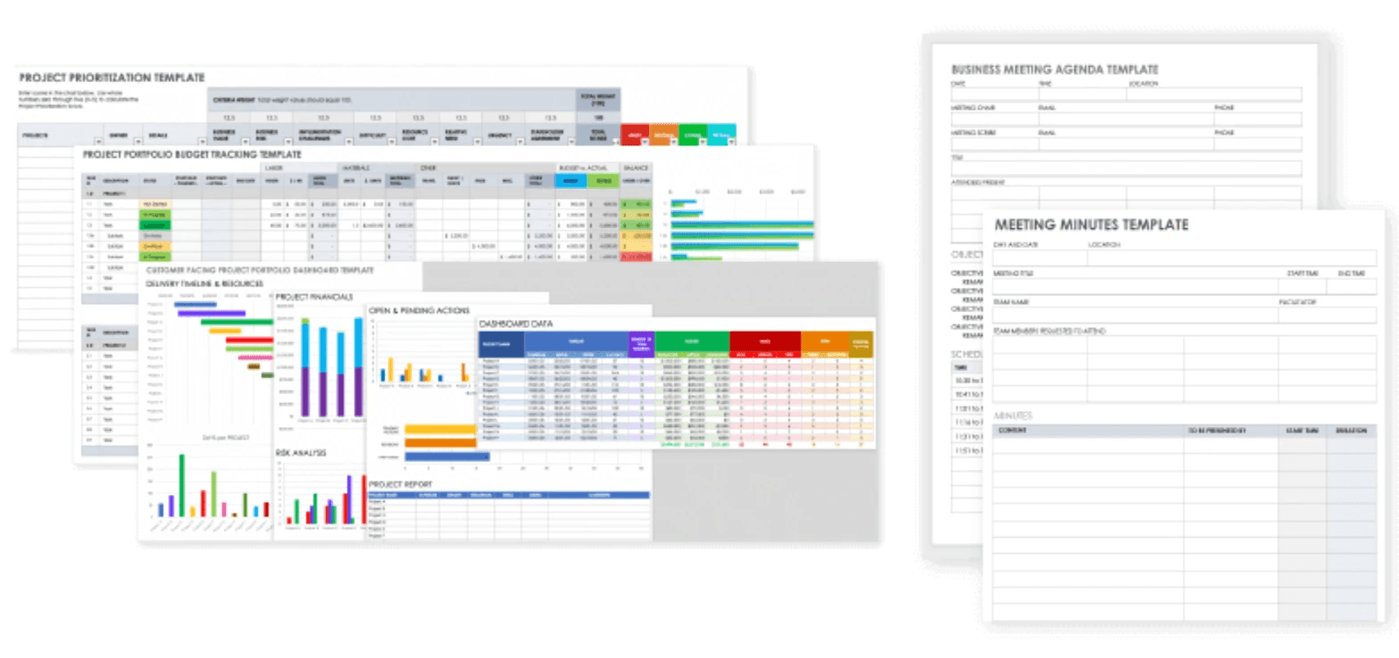  Project Portfolio Management Guide