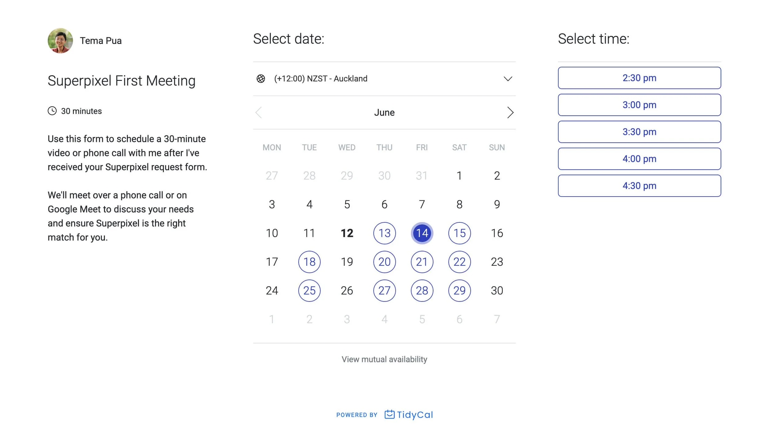 TidyCal simple and budget-friendly scheduling tool