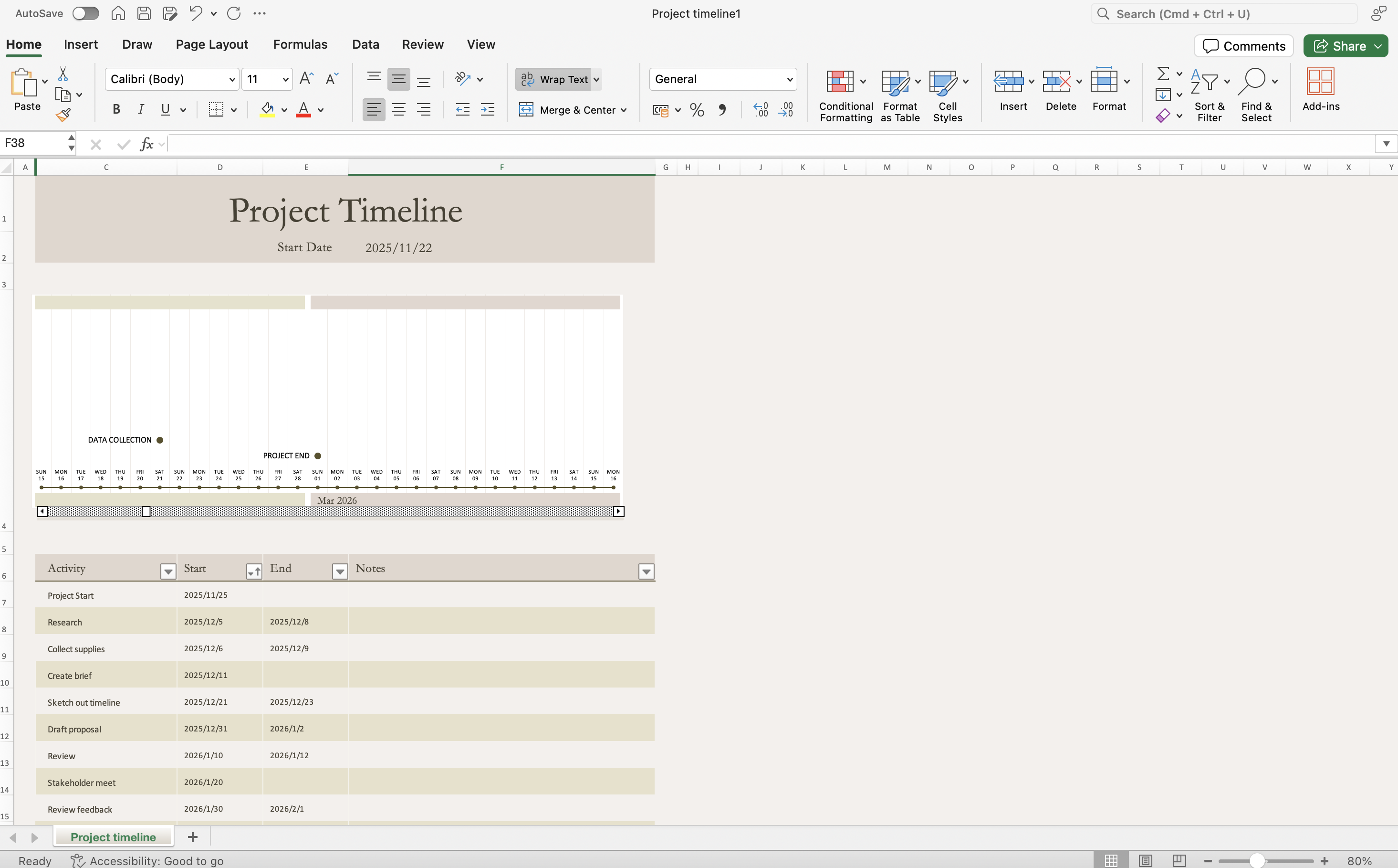 The project timeline in Excel