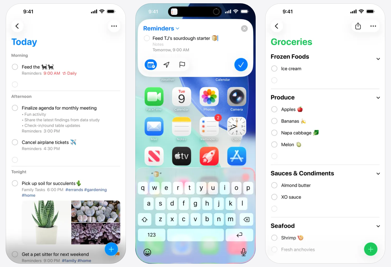Apple Reminders overview