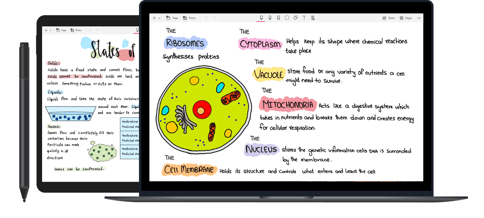 Knowledge management software example